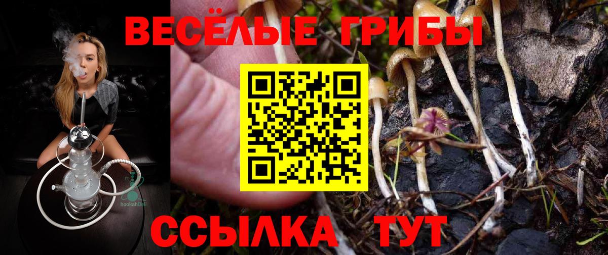 Галлюциногенные грибы Magic Shrooms Чистополь