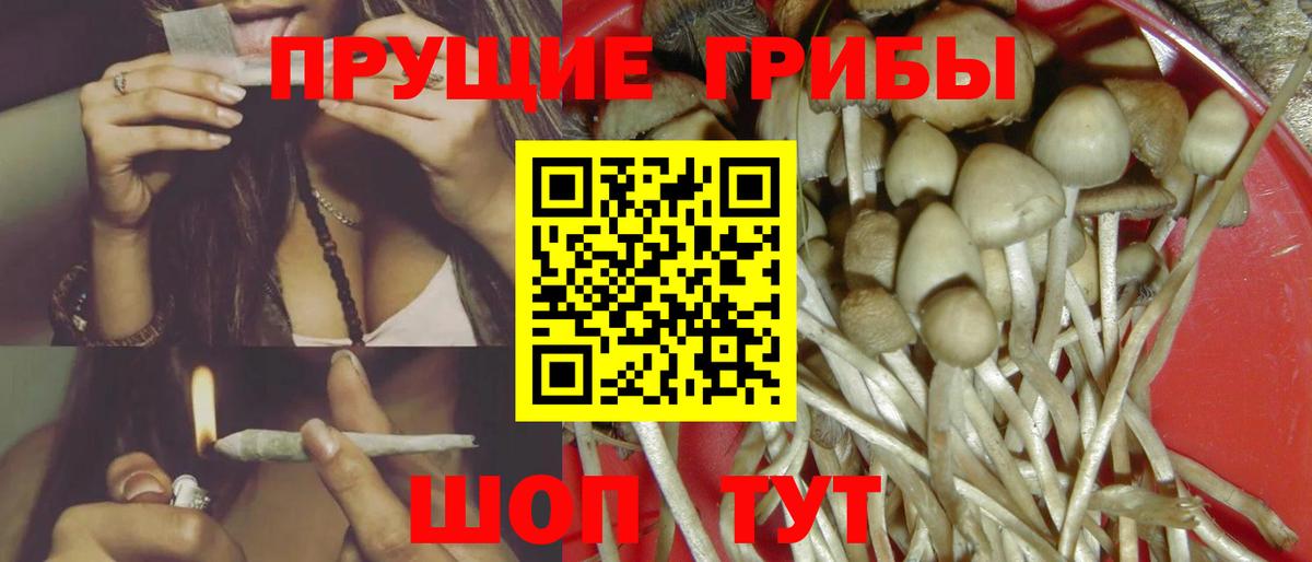 Галлюциногенные грибы GOLDEN TEACHER  Вход с VPN  Чистополь 